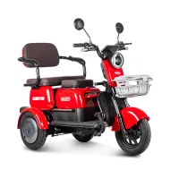 Электротрицикл Rutrike Gelbert Sun 48V/60V 650Вт Красный