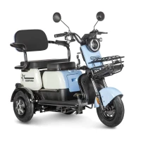Электротрицикл Rutrike Gelbert Vega 48V/60V 600Вт