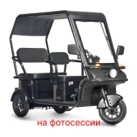 Электротрицикл Wanshida NIPLA 570 60V 1000Вт Серый